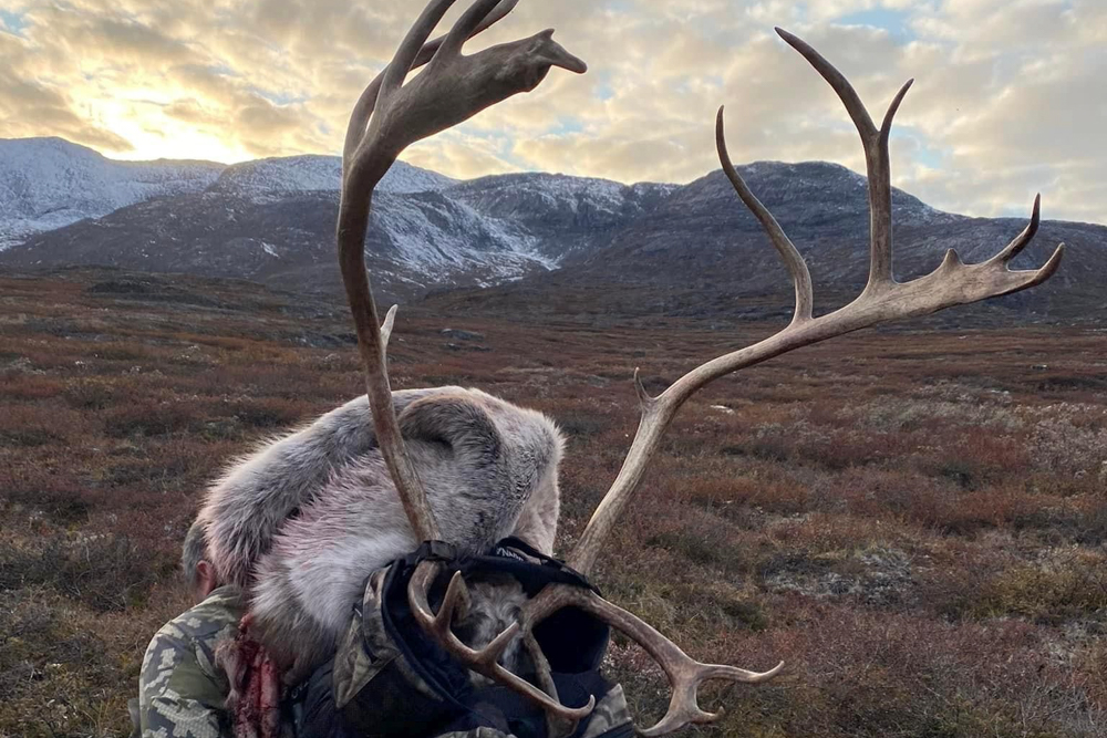 Trofæjagt guidekursus i Nuuk